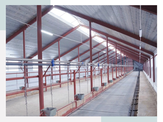 Строительство коровников в Саянске от 610 руб.