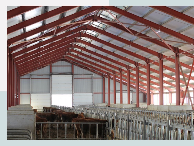 Строительство коровников в Саянске