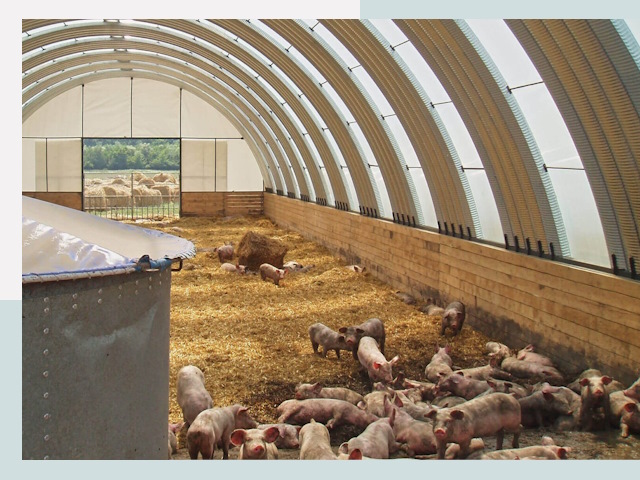 Строительство свинарников в Саянске